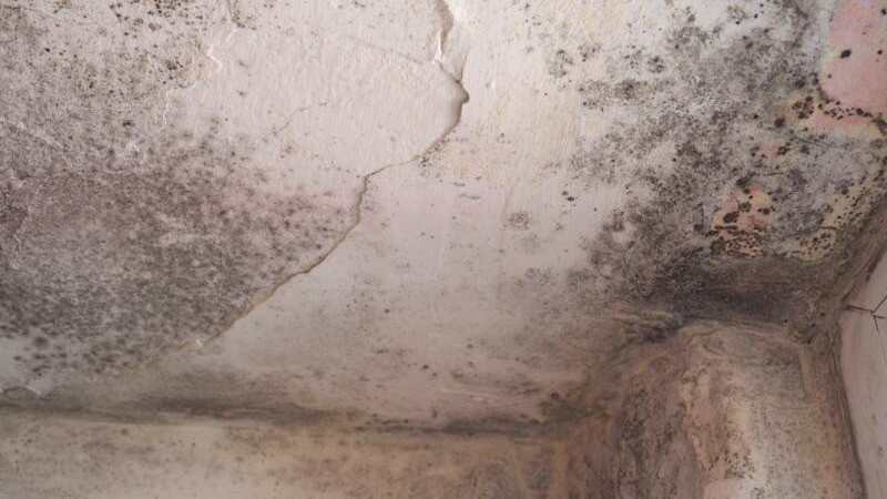 How Long Does Damp Proofing Last?
